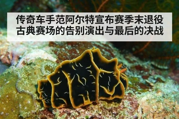 传奇车手范阿尔特宣布赛季末退役古典赛场的告别演出与最后的决战